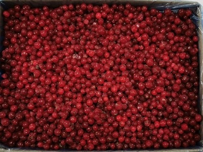 Красная смородина свежемороженая