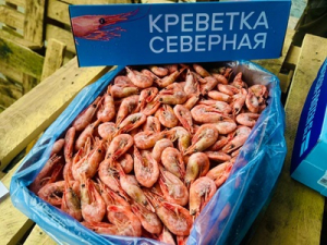 Креветки северные Мурманск 70-90 варено-мороженые